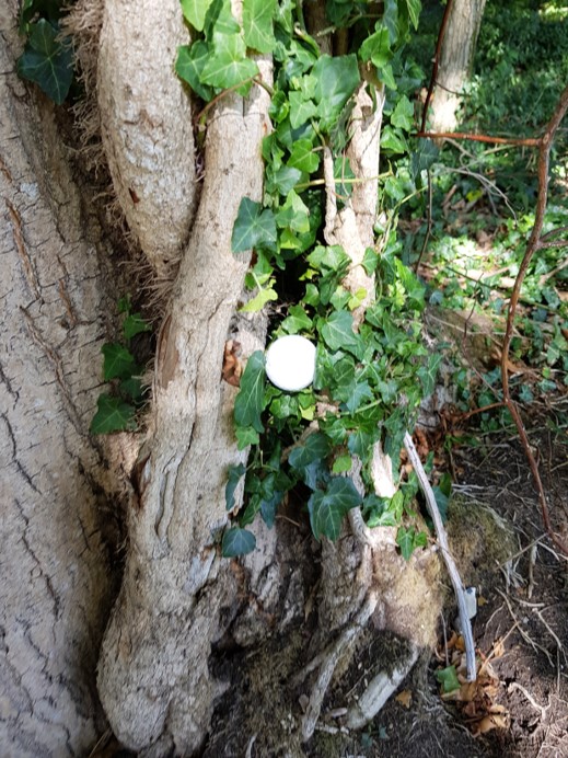 Graham Ottaway's ball on the 13th